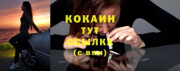 крисы Богородск