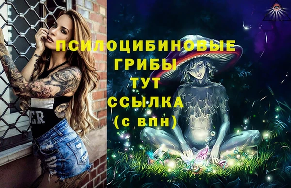 крисы Богородск