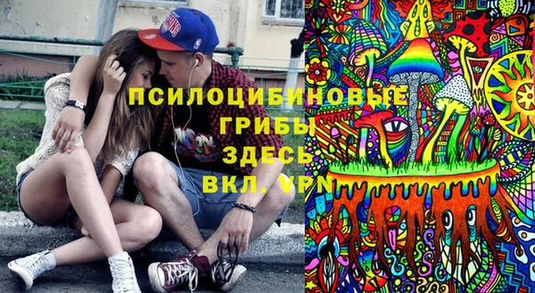 бошки Богородицк
