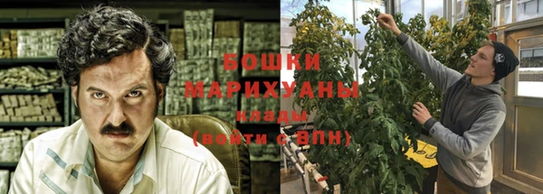 крисы Богородск