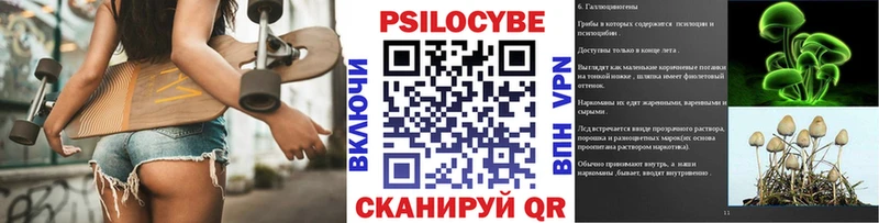 где купить наркоту  Дмитриев  Псилоцибиновые грибы мухоморы 
