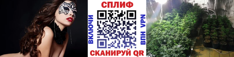 Шишки марихуана Amnesia Дмитриев